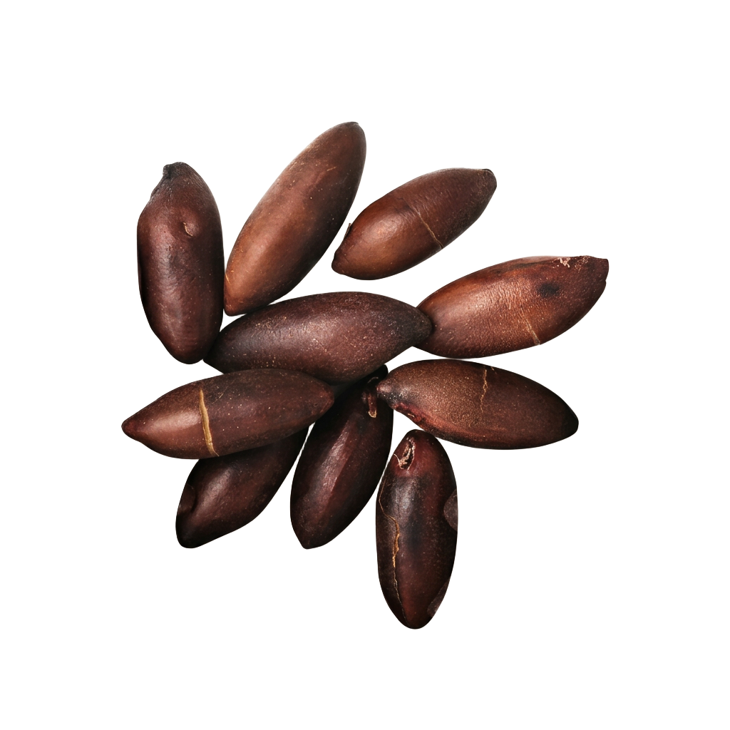 Baru Thrive 500g bag with roasted baru nuts